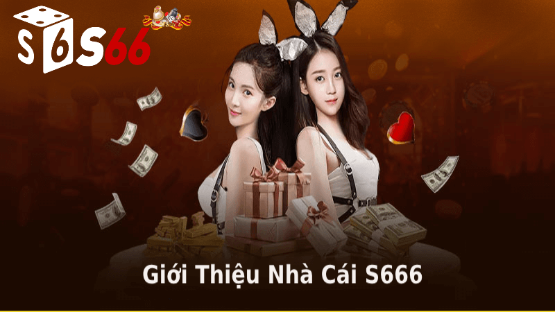 Giới thiệu S66