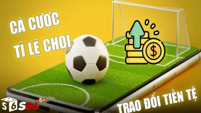 Cách Thực Hiện Cá Cược Tỷ SỐ Tại S66