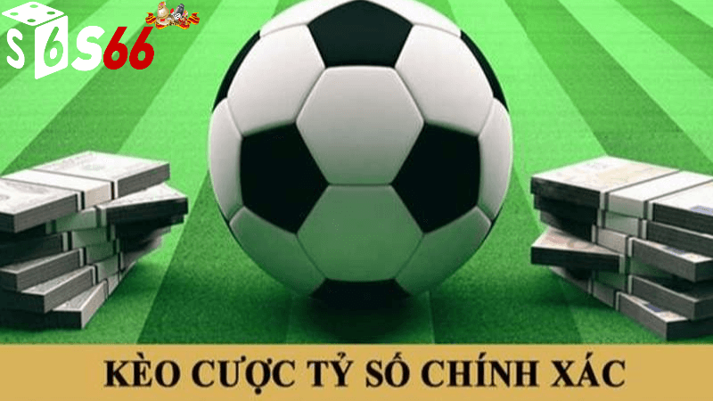 cá cược tỷ số tại S66